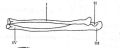 Thumbnail for version as of 17:22, 28 August 2024